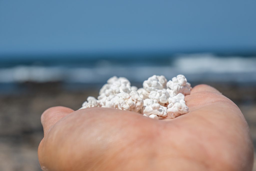 Fuerteventura spiagge del nord