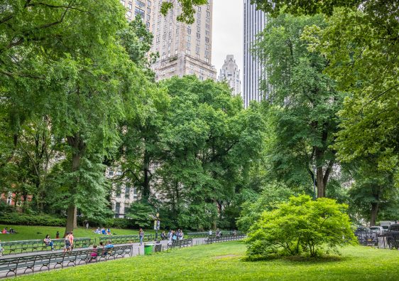 Central Park New York