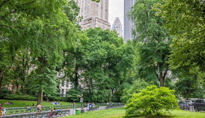 Central Park New York