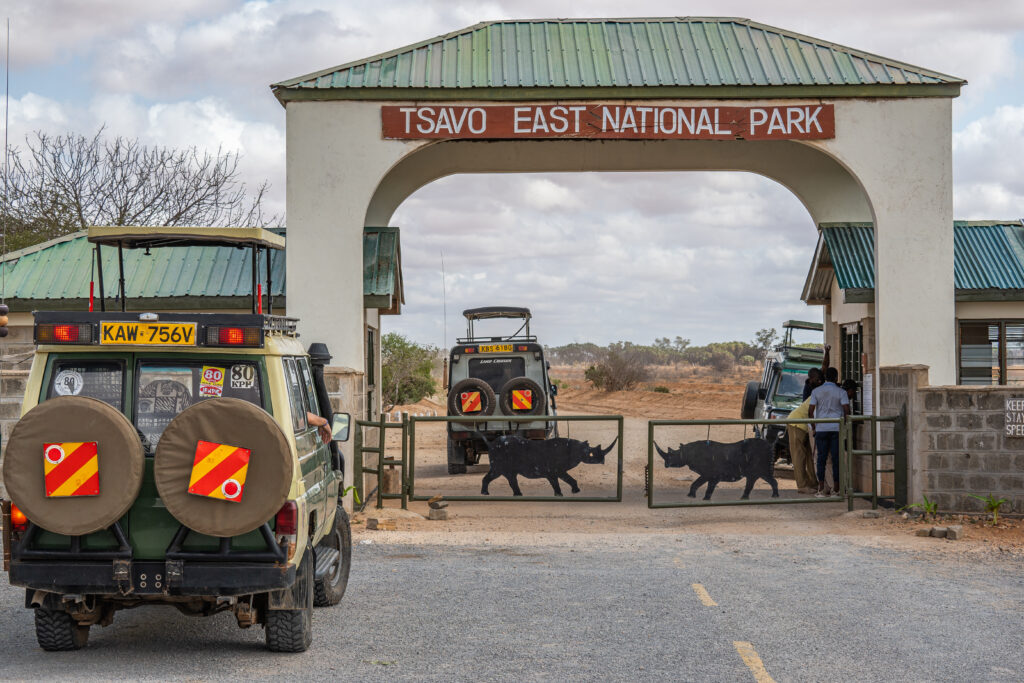 Safari, escursioni da fare in Kenya