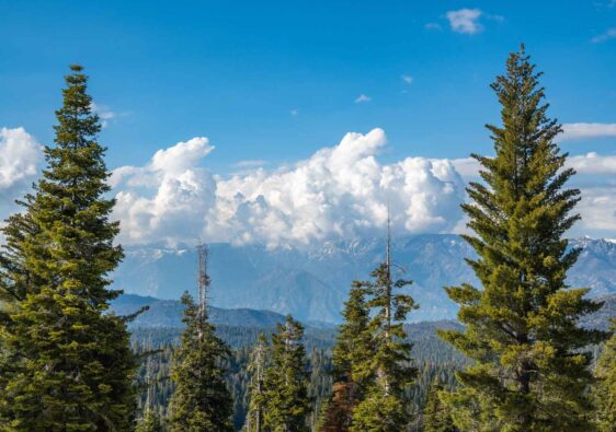 sequoia national park