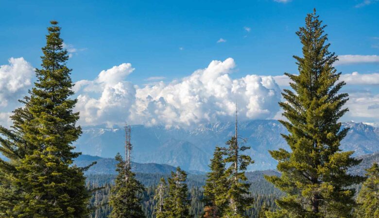 sequoia national park