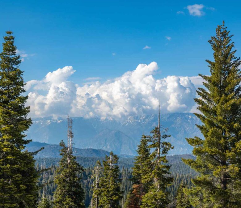 sequoia national park